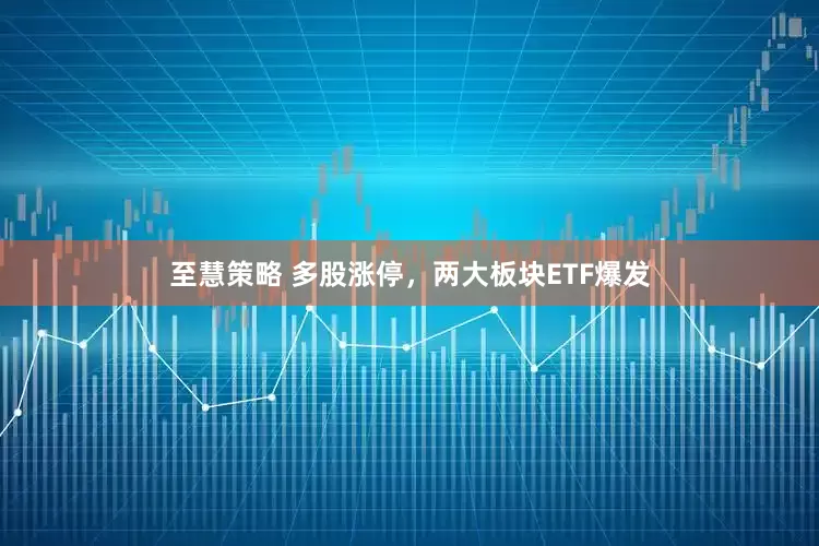 至慧策略 多股涨停，两大板块ETF爆发
