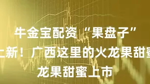 牛金宝配资 “果盘子”夏季上新！广西这里的火龙果甜蜜上市