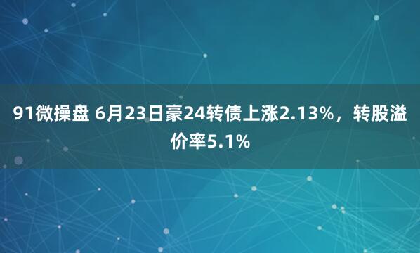 91微操盘 6月23日豪24转债上涨2.13%，转股溢价率5.1%