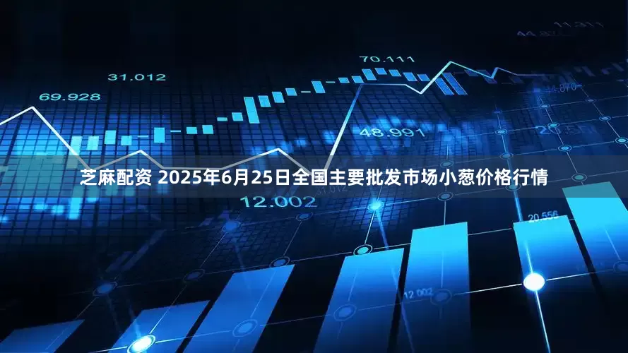 芝麻配资 2025年6月25日全国主要批发市场小葱价格行情