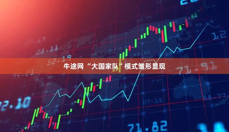 牛途网 “大国家队”模式雏形显现