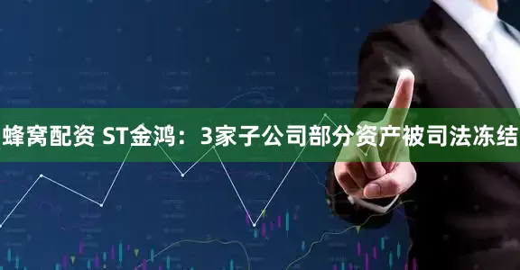 蜂窝配资 ST金鸿：3家子公司部分资产被司法冻结