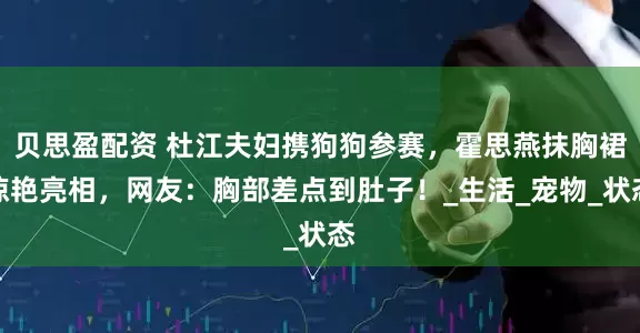 贝思盈配资 杜江夫妇携狗狗参赛，霍思燕抹胸裙惊艳亮相，网友：胸部差点到肚子！_生活_宠物_状态