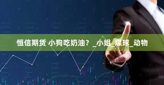 恒信期货 小狗吃奶油？_小姐_煤球_动物