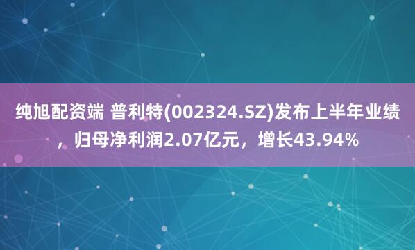 纯旭配资端 普利特(002324.SZ)发布上半年业绩，归母净利润2.07亿元，增长43.94%