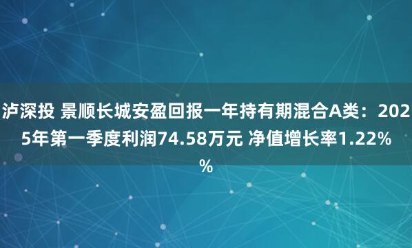 泸深投 景顺长城安盈回报一年持有期混合A类：2025年第一季度利润74.58万元 净值增长率1.22%