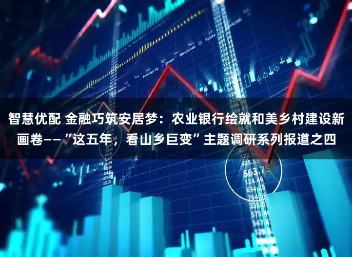 智慧优配 金融巧筑安居梦：农业银行绘就和美乡村建设新画卷——“这五年，看山乡巨变”主题调研系列报道之四