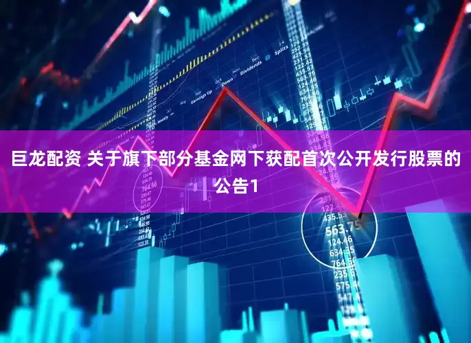 巨龙配资 关于旗下部分基金网下获配首次公开发行股票的公告1